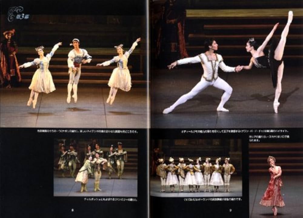 世界の一流バレエ団・名作DVD10巻 白鳥の湖 SWAN LAKE 新国立劇場バレエ団オフィシャルDVD BOOKS
